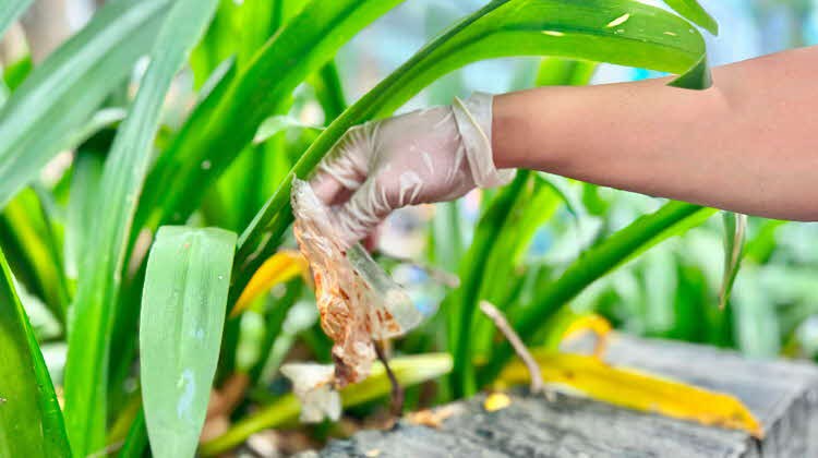 Aksi Nyata Great Eastern Life Indonesia Dengan  Wujudkan Kolaborasi Untuk Indonesia Bersih