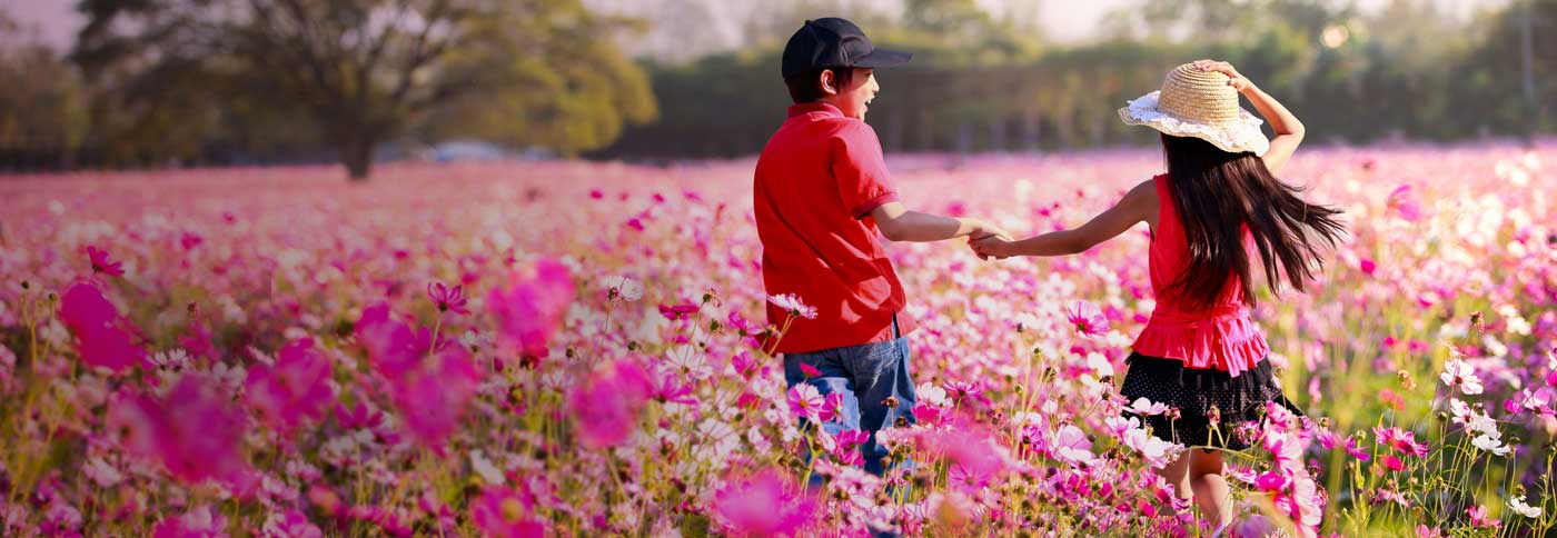 Kenali apa saja jenis dana yang dibutuhkan untuk menjamin keamanan finansial Anda